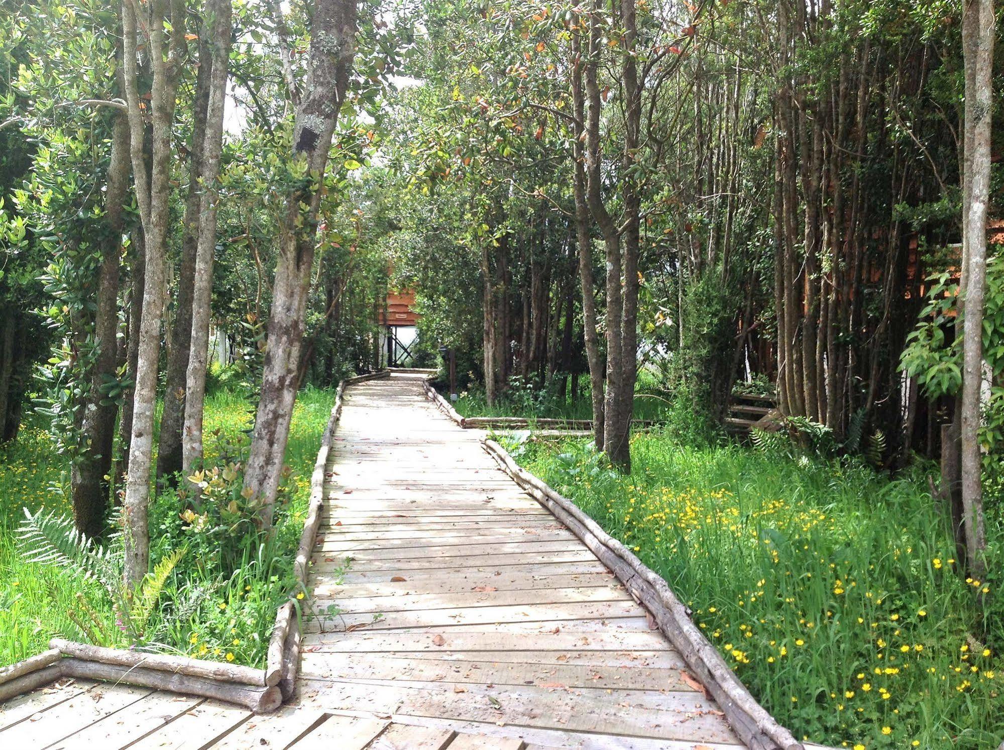 Cabanas Gracias A La Vida Lodge ปูแอร์โตบารัส ภายนอก รูปภาพ